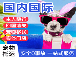 锦州空运地址国际宠物托运 【国